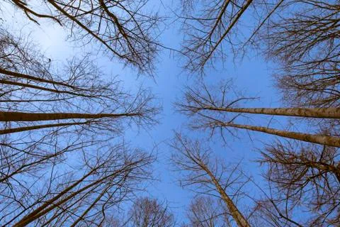 Reaching Upward Stock Photos