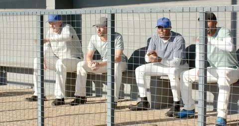 Reacting to unfolding play, Diverse baseball teammates cheering behind Stock Footage 339320310