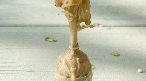 Reaction causing soda to spray out of top of bottle slow motion 스톡 동영상 63402213