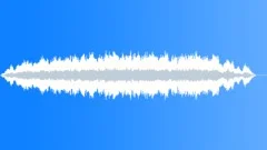 REACTION, CROWD Sound Effect