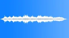 REACTION, CROWDSound Effect
