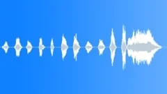 REACTION, CROWDSound Effect