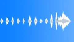 REACTION, CROWDSound Effect
