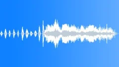 REACTION, CROWDSound Effect