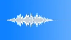 REACTION, CROWDSound Effect