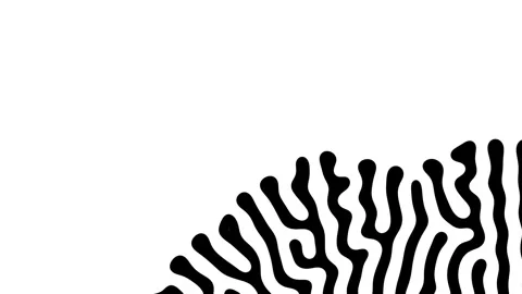 Reaction diffusion organic growing pattern. Turing system science background. Stock Footage 136987319