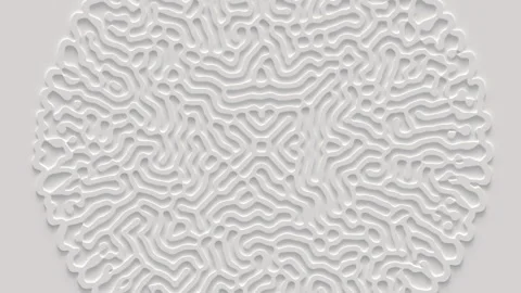 Reaction diffusion organic growing pattern. Cell division science background. Stock Footage 243531097