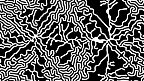 Reaction diffusion organic growing pattern. Cell division science background. Stock Footage 254368463