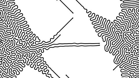 Reaction diffusion organic growing pattern. Cell division science background. Stock Footage 254999468