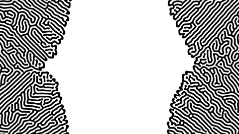 Reaction diffusion organic growing pattern. Cell division science background. Stock Footage 254999489