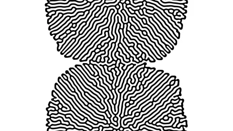 Reaction diffusion organic growing pattern. Cell division science background. Stock Footage 255338415