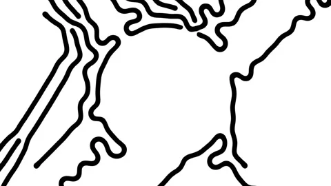 Reaction diffusion organic growing pattern. Cell division science background. Stock Footage 255619446