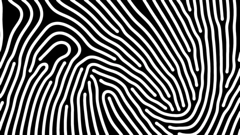 Reaction diffusion organic growing pattern. Cell division science background. Stock Footage 267624637