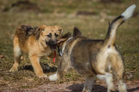 Reaction Stock Photos