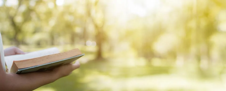 Read and knowledge concept, hand holding book on soft green park banner bac.. Fotos de archivo