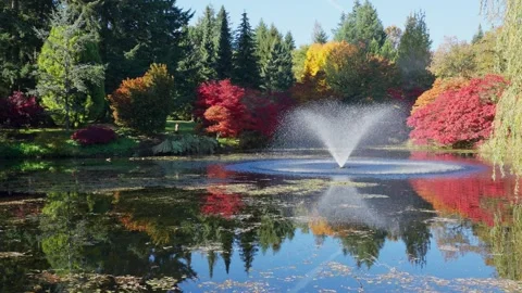 Read and yellow leaves fall in autumn season in a garden with a fountain Stock Footage 146109265