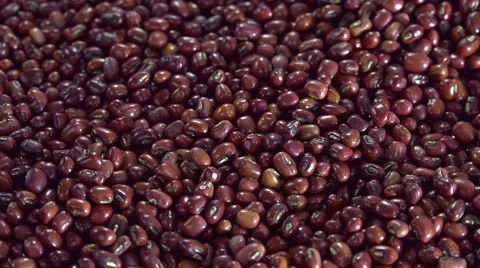 Read Beans (not loopable) Vídeos de archivo 49084252