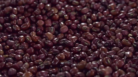 Read Beans (not loopable) Vídeos de archivo 49085053