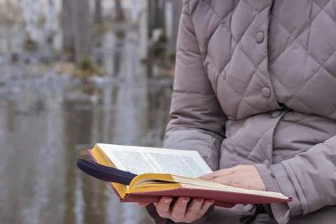 To read a book. Stock Photos