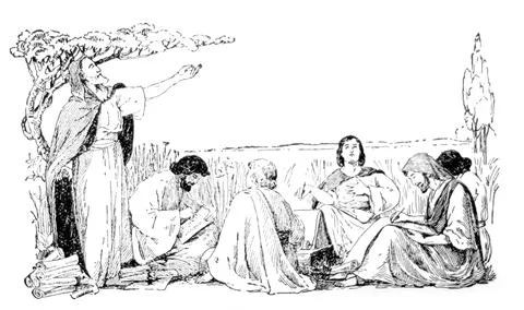 Reading and Studying Illustrazione stock