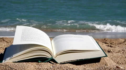 Reading in the beach Stock Footage 51677150