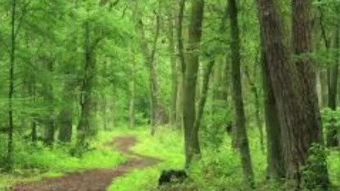 Reading the beginning of elementary school students Stock Footage 219790603
