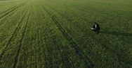 Reading The Bible In A Field Aerial Stock Footage