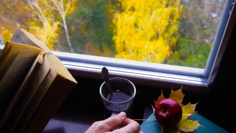Reading a book and drinking tea in front of the window in autumn Stock Footage 100408437