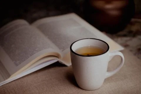 Reading book and drinking tea in silece Stock Photos