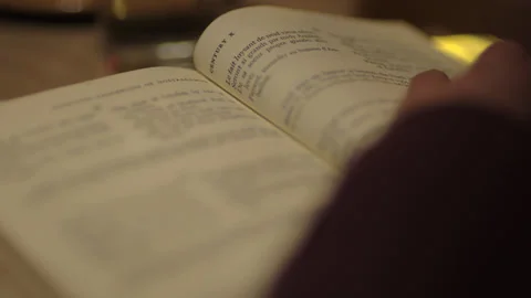 READING A BOOK AND MAKING NOTES Stock-Footage 141000595