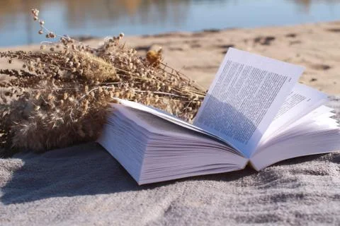 Reading a book on a beach Stock Photos
