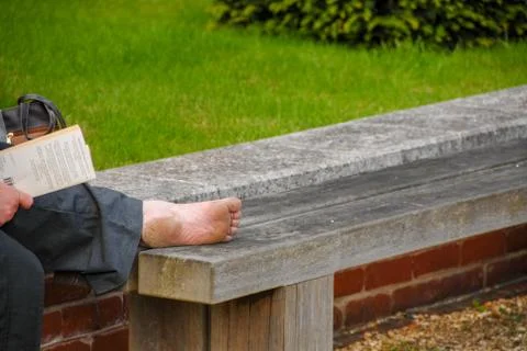 Reading book on the bench in the park Stock Photos