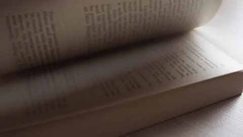 Reading A Book In The Evening Video stock 156812497