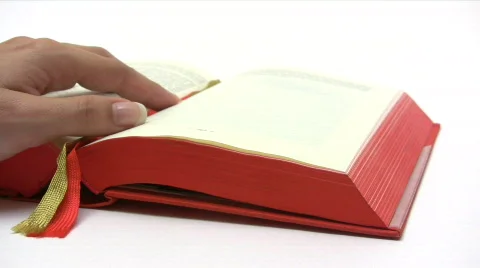 Reading in a Book Stock Footage 447583