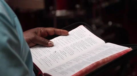 Reading Book Stock Footage 65788261