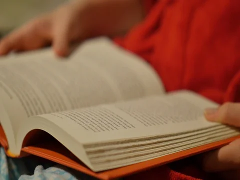 Reading a Book 스톡 동영상 74598666