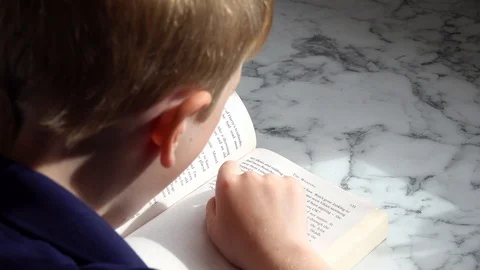 Reading a book Stock Footage 94912857