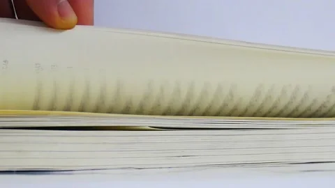 Reading a book footage. Stock Footage 238431409