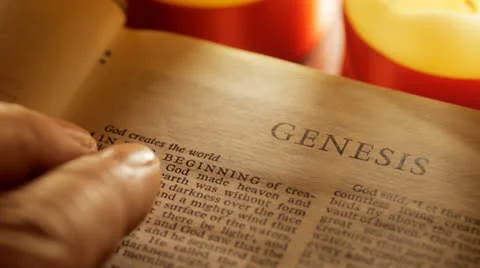 Reading Book of Genesis 스톡 동영상 24655512