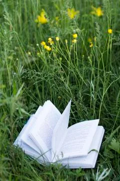 Reading a book on a grass field	 Stock Photos