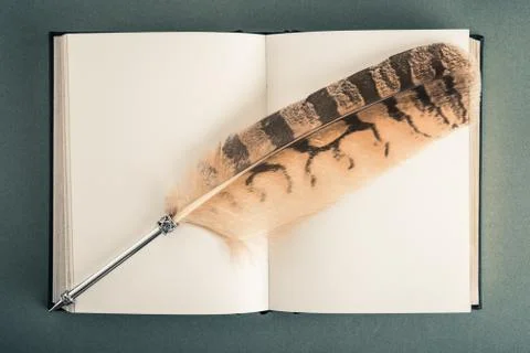 Reading book image Stock Photos