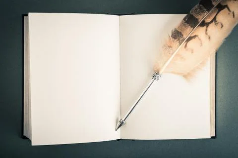 Reading book image Stock Photos