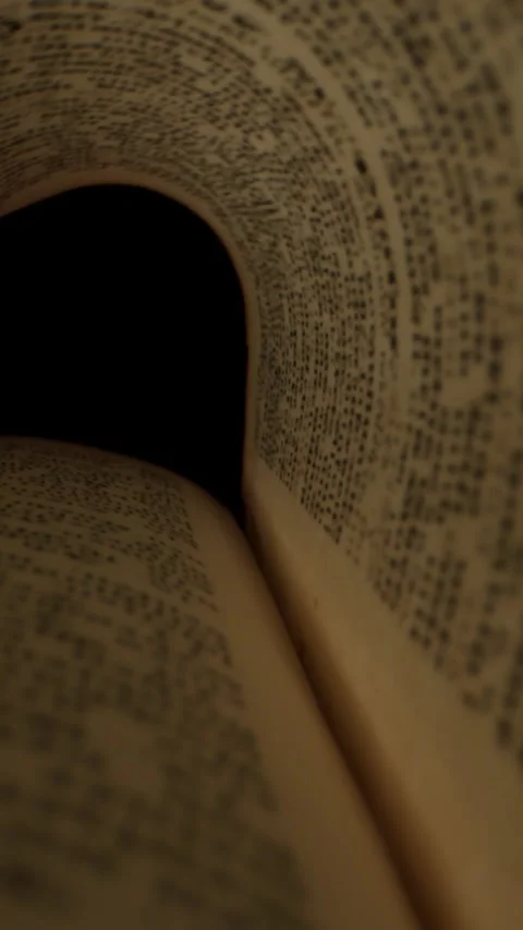 Reading a book with intricate text patterns in a cozy, dimly lit space during Stock Footage 320271798