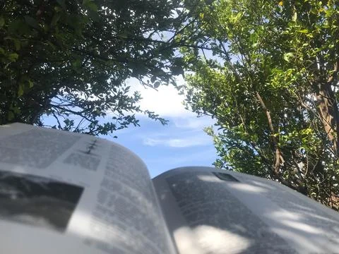 Reading book looking at the forest Stockfoto's