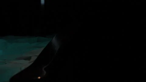 Reading a book at night on a blanket with a flashlight Stock Footage 88864545