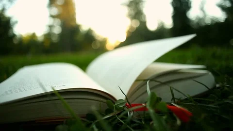 Reading book outdoors Stock Footage 70593059