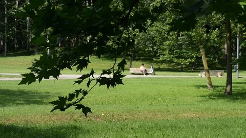 Reading a book at the park Stock Footage 91749801