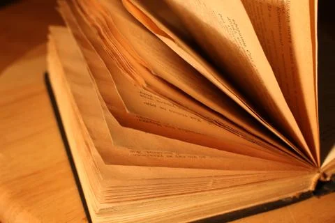 Reading a book Stock Photos