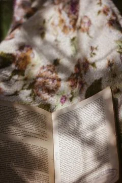 Reading a book in the spring in a blanket in a hammock Stock Photos