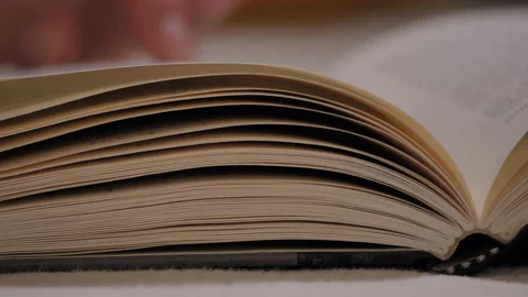 Reading a book, turning pages. Stock Footage 133463881